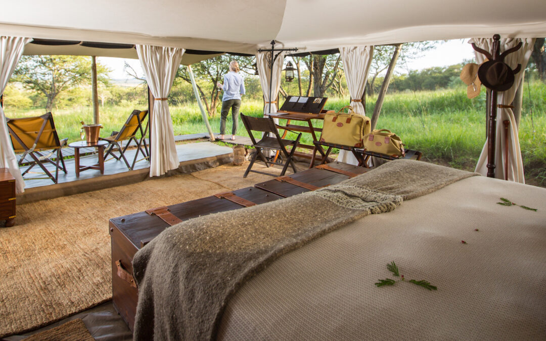 Central – Seronera – Serengeti Pioneer Camp