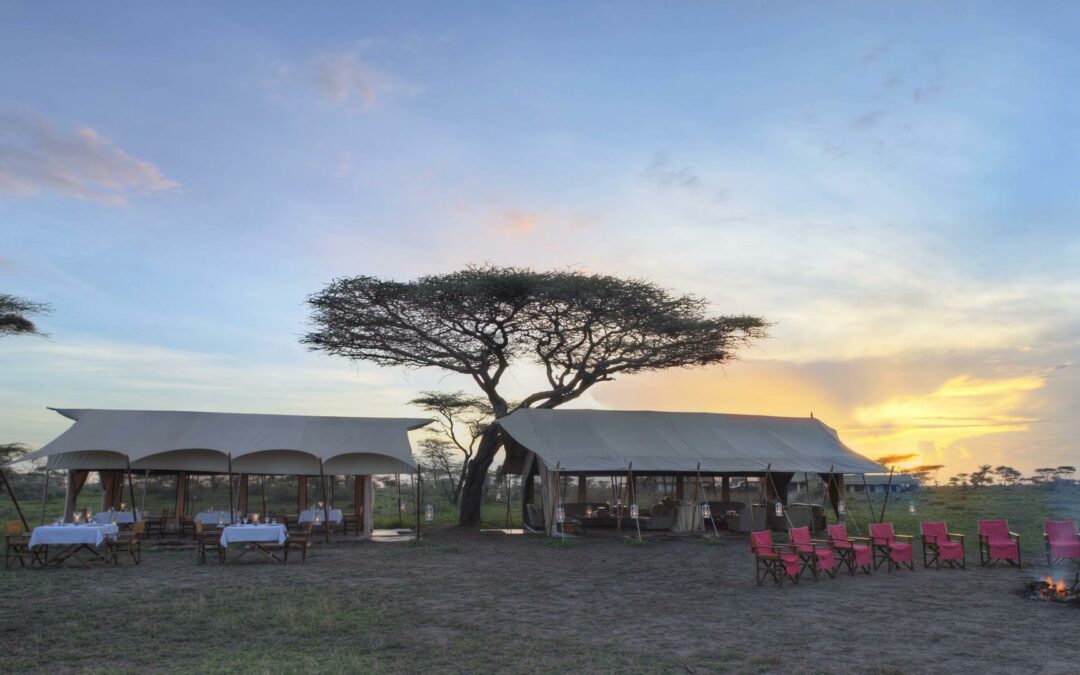 Central – Seronera – Serengeti Under Canvas Central