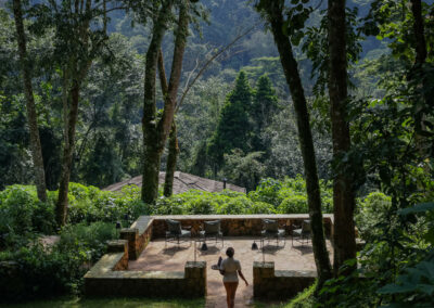 Botanical Gardens Walks