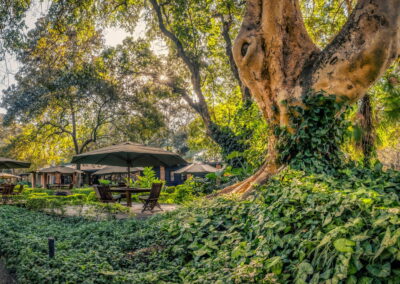 Botanical Gardens Walks