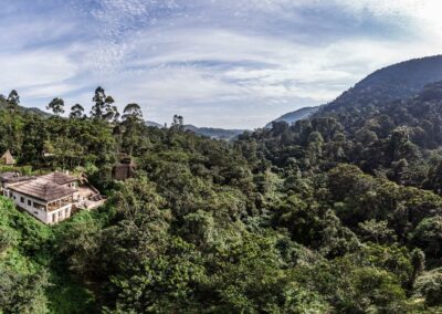 Mabamba Shoebill Excursions