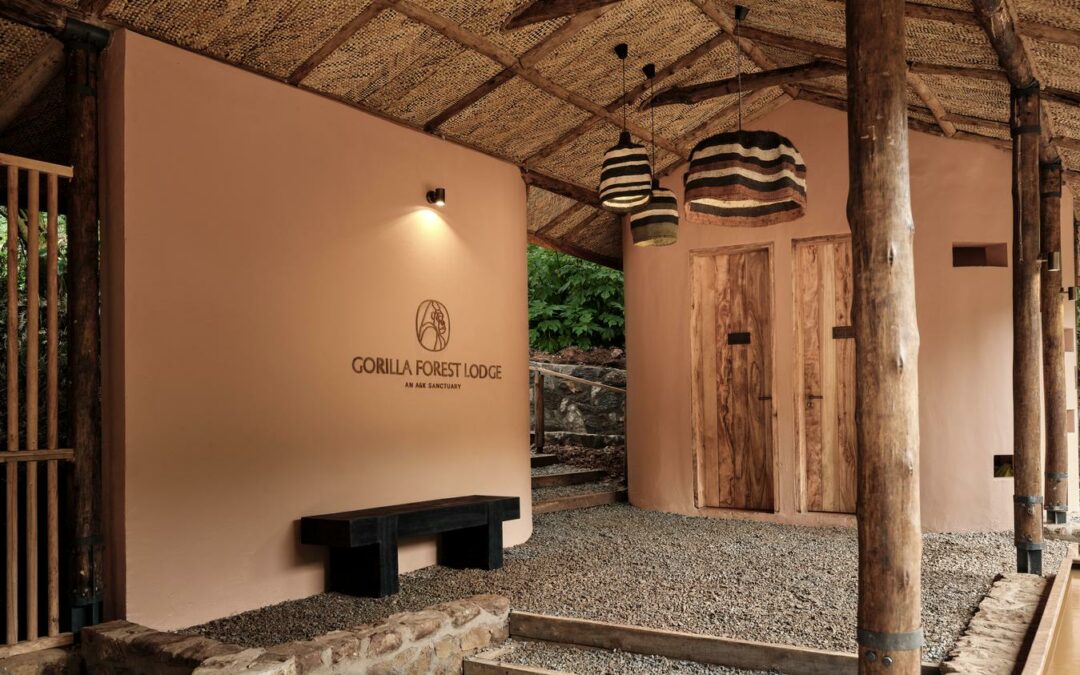 Gorilla Forest Camp
