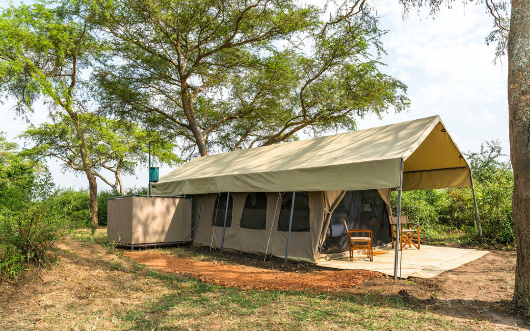 Honey Bear Bush Camp