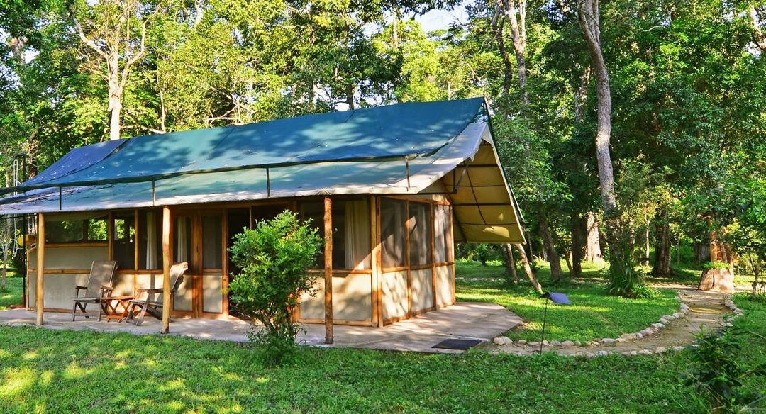 Ishasha Wilderness Camp