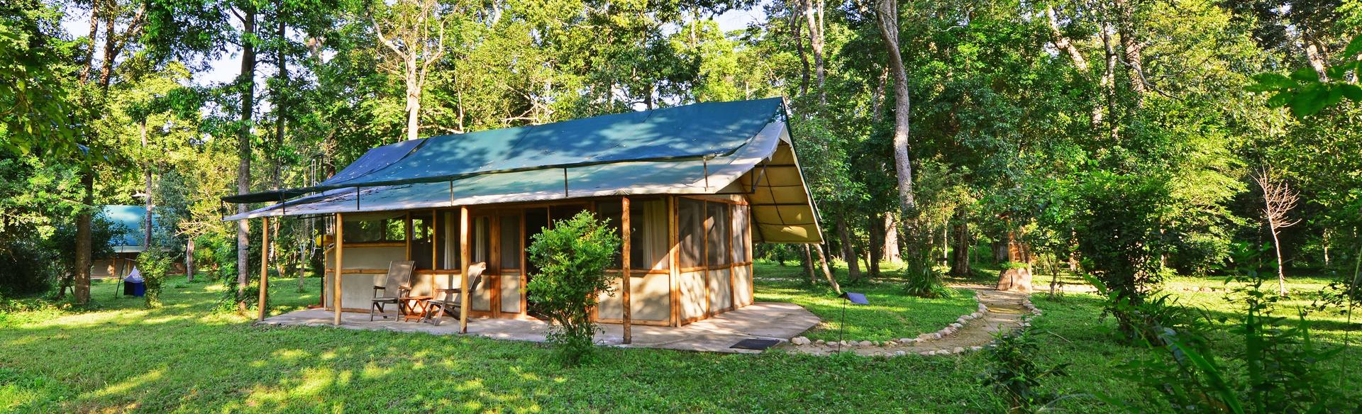 Ishasha Wilderness Camp