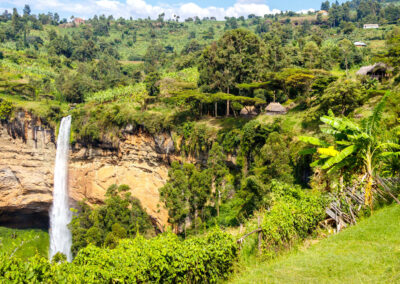 Source of the Nile Excursions