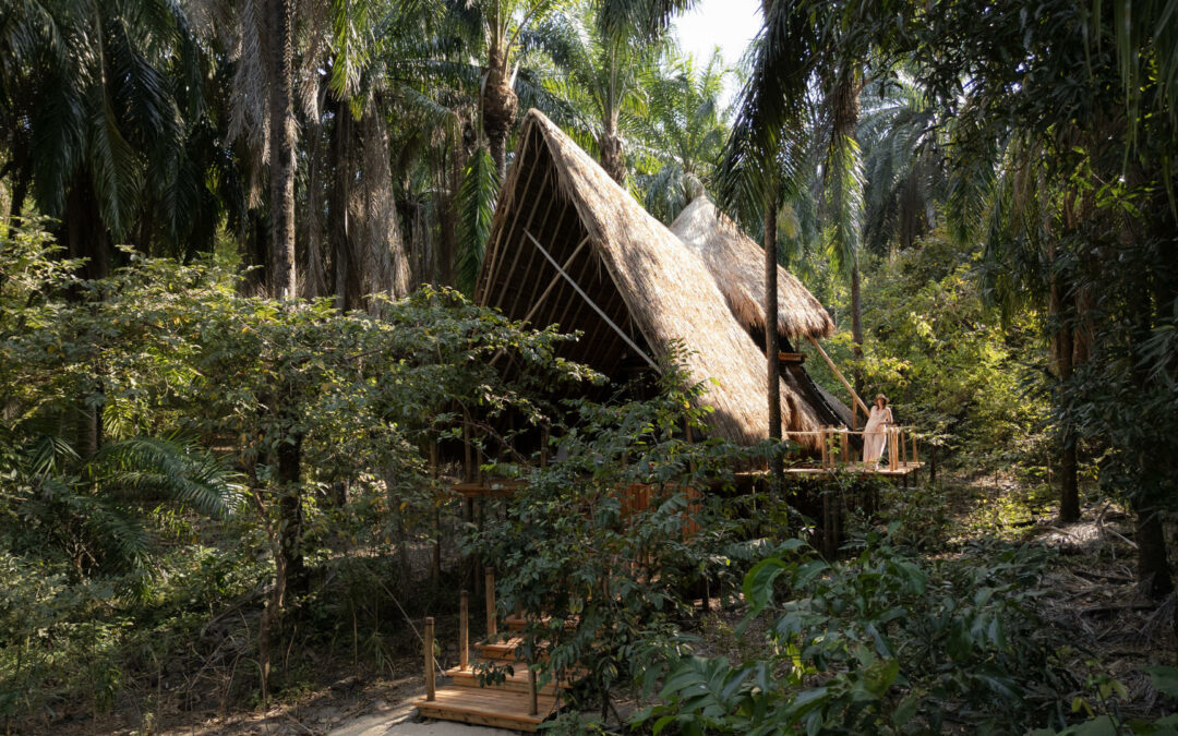 Katavi Wildlife Camp