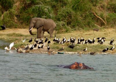 Kazinga Channel Boat Safari