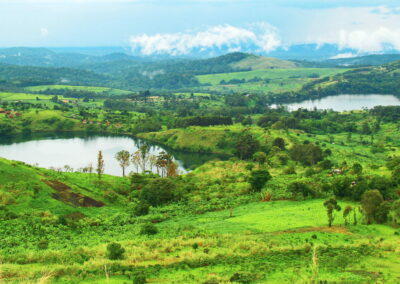 Bigodi Wetland Walk