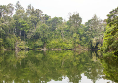 Bigodi Wetland Walk