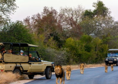 Kidepo Game Drives