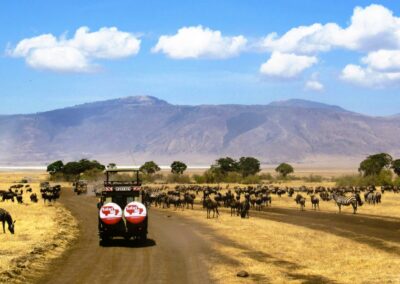 Game Drives