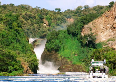 Boat Safaris