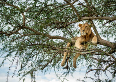 Lake Manyara with Adventures Africa
