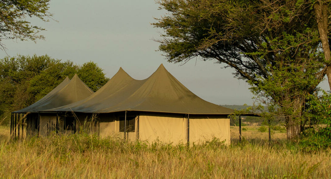 Mara – Ubuntu Migration Camp