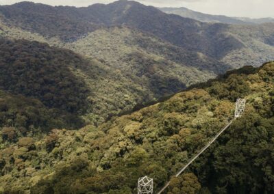 Canopy Walk Experience
