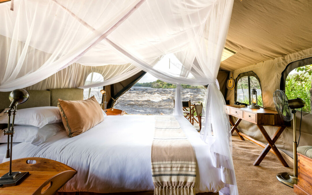 Papa’s Camp