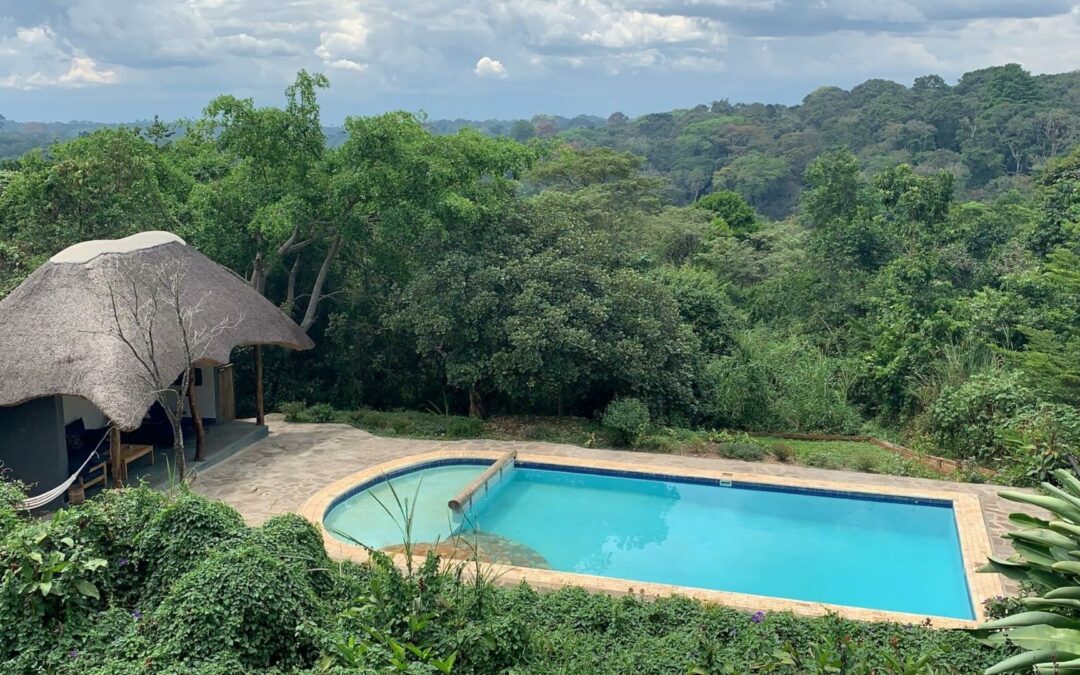 Protea Entebbe