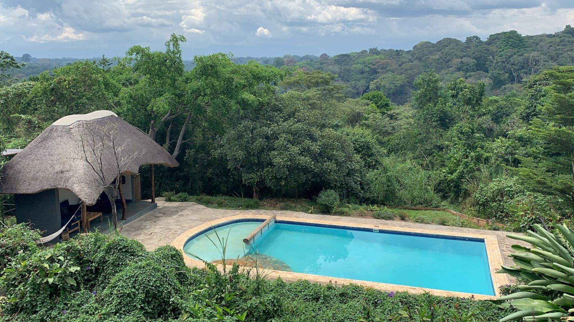 Protea Entebbe