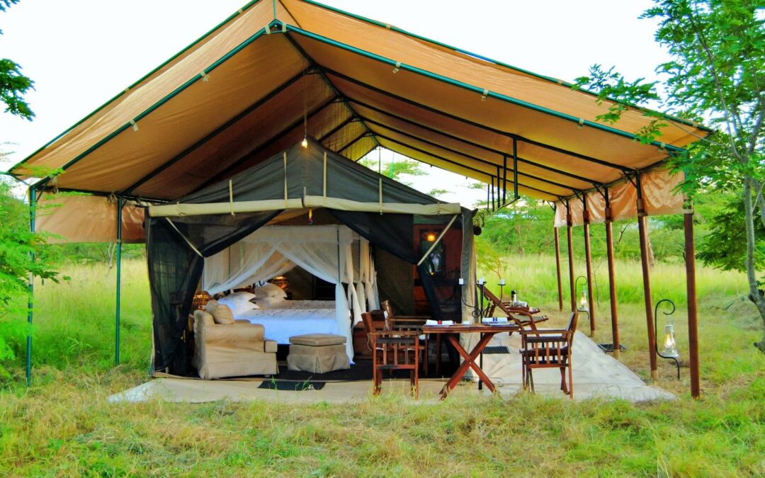 Southwest – Serengeti Safari Camp