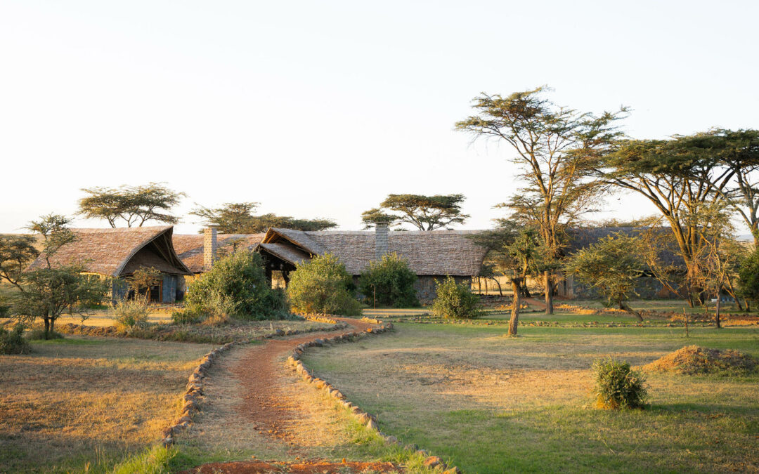 Southwest – Ubuntu Migration Camp