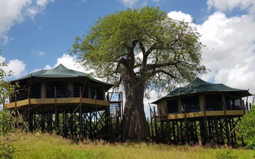 Tarangire Kuro Treetops Lodge