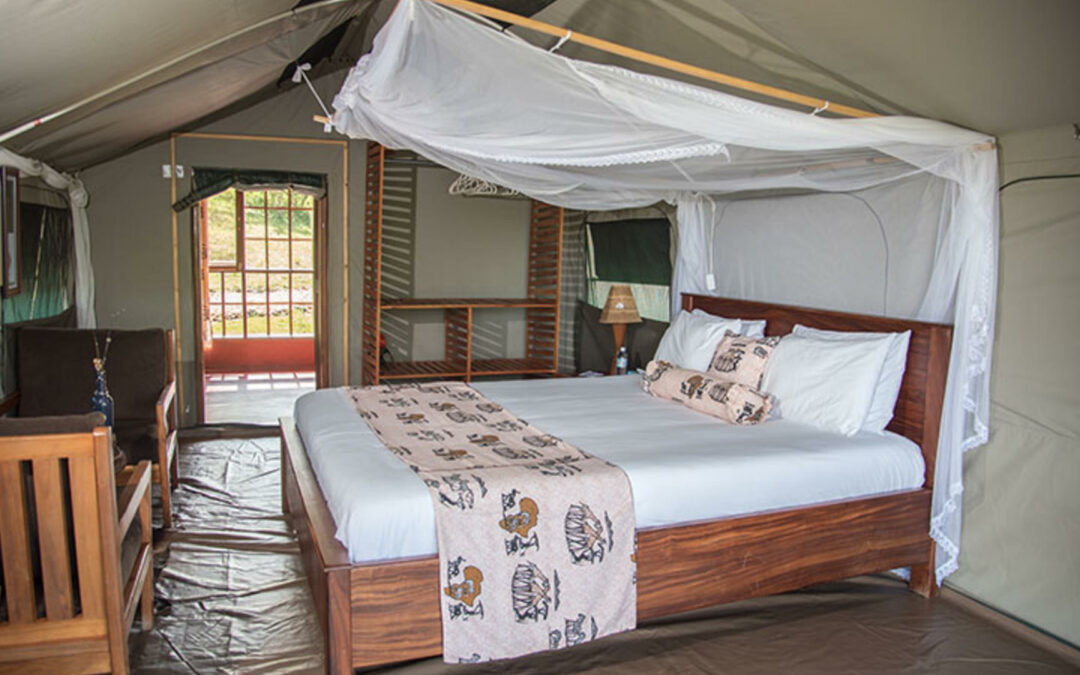 Twiga Safari Camp
