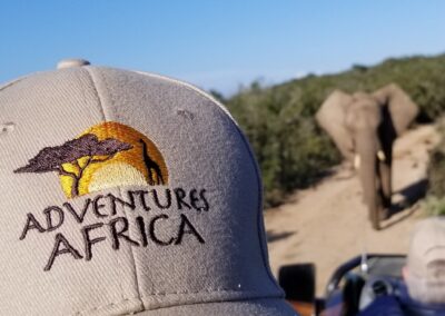 Adventures Africa