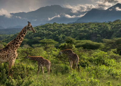 Mount Meru Scenic Exploration