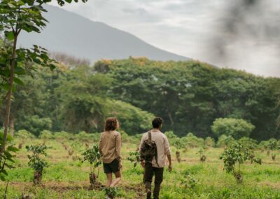 Arusha NP Walking Safaris