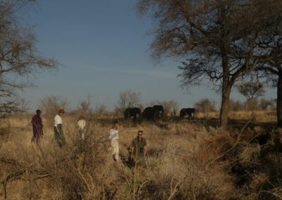 Arusha NP Walking Safaris