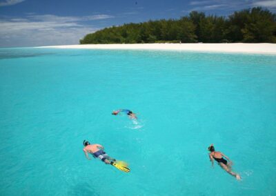 Mafia Island - Diving & Coral Reef Exploration