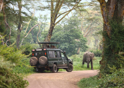 Crater Game Drives