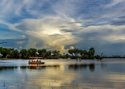 Nyerere Boat Safaris