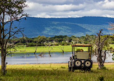 Nyerere Game Drives