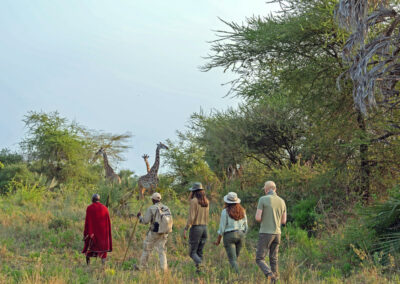 Nyerere Walking Safaris