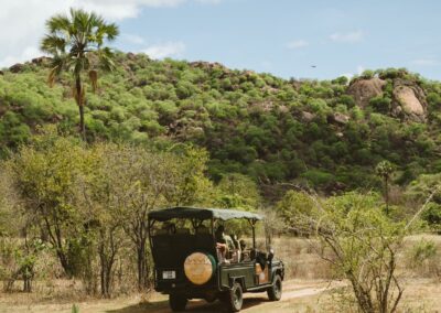 Ruaha Game Drives