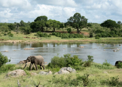 Ruaha River-Based Wildlife Viewing