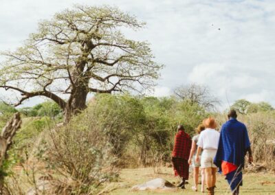 Ruaha Walking Safaris