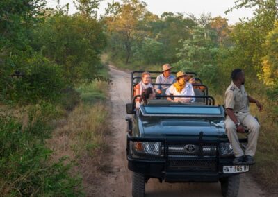 sabi sabi Game Drives with Adventures Africa