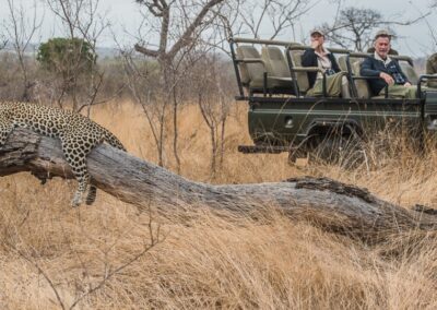 sabi sabi Game Drives with Adventures Africa