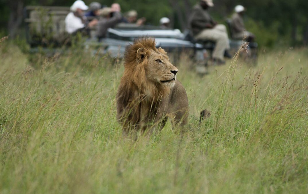 Sabi Sabi Stay 4 Pay 3 Safari Special