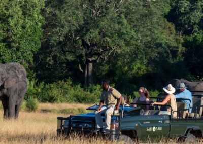 Sabi Sabi Wildlife Experience with Adventures Africa
