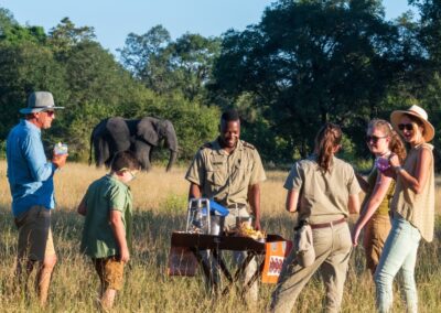 Big Five Game Drives