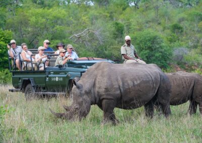 Big Five Game Drives