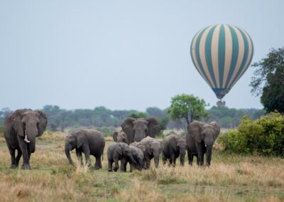 Hot Air Balloon Safari