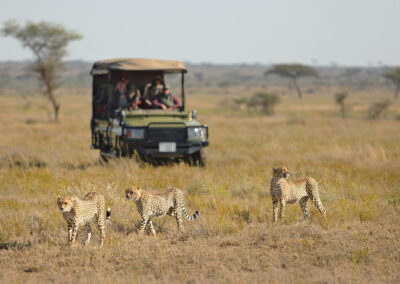 Game Drives