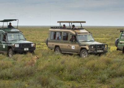 Game Drives