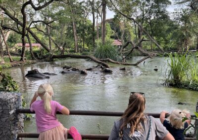River-Based Wildlife Viewing