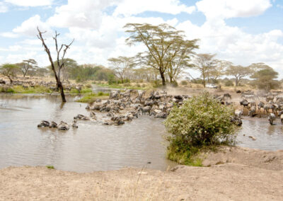 River-Based Wildlife Viewing